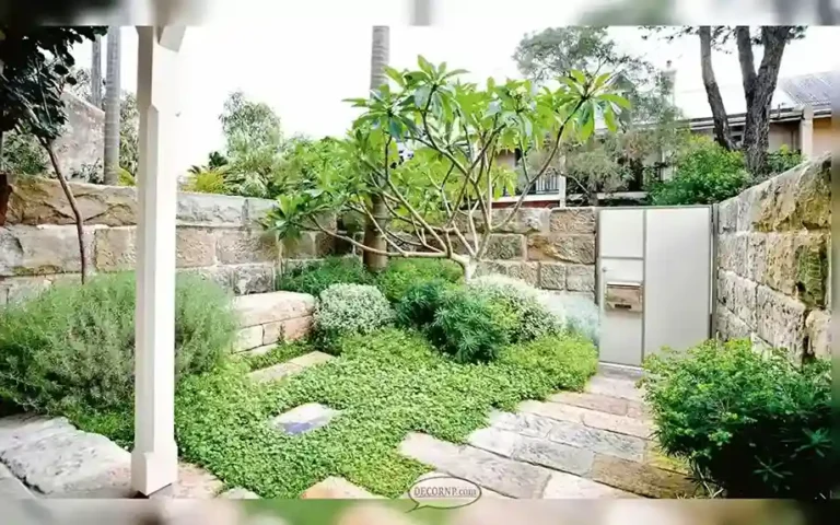 Small Garden