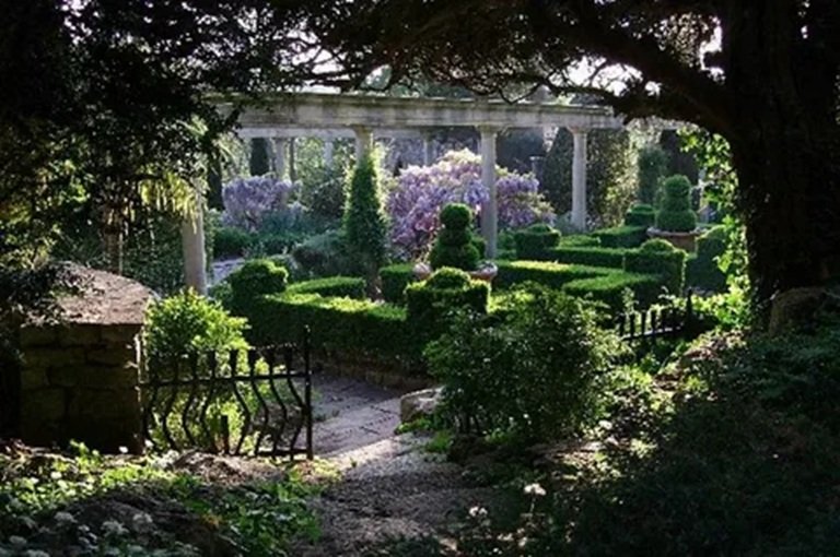 Garden Design Cambridge: How to Plan the Perfect Outdoor Space