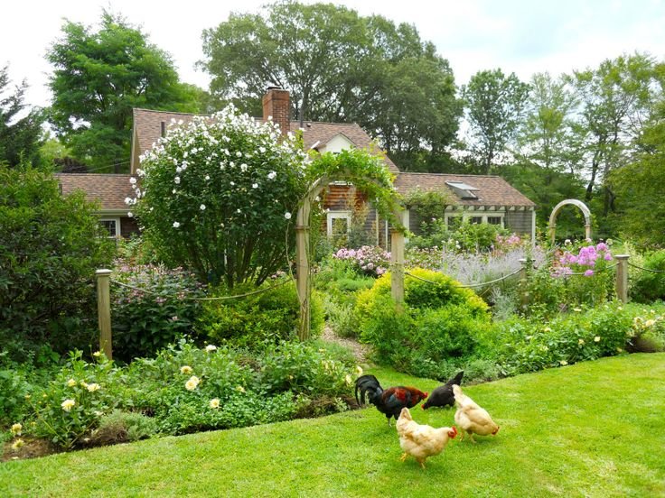 Low-Maintenance Gardens in Cambridge: Easy Care Plants and Designs